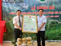 Đ/c Bế Đăng Khoa – Giám đốc Sở Khoa học và Công nghệ  trao giấy chứng nhận đăng ký nhãn hiệu lê Đông Khê cho đại diện UBND huyện Thạch An.