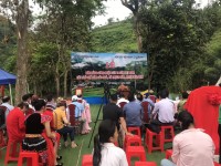 Tổ chức đón Bằng công nhận Cây di sản Việt nam