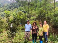 Vai trò của Liên hiệp các Hội Khoa học...