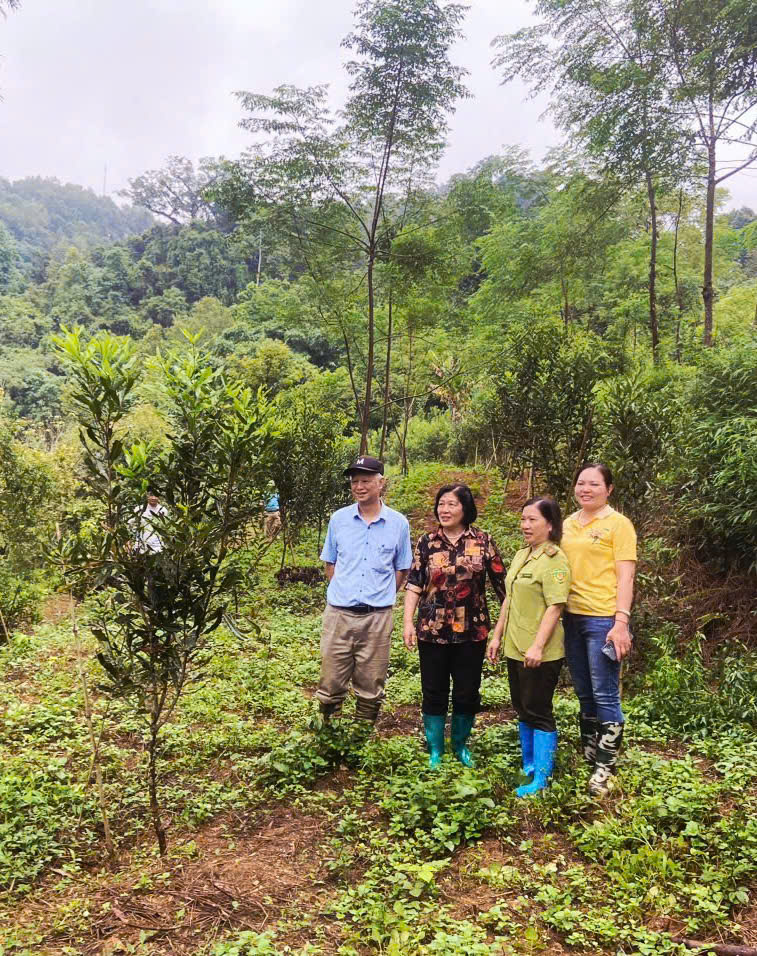 Đồng chí Hoàng Thị Bình - Chủ tịch  Liên hiệp các Hội Khoa học và Kỹ thuật tỉnh tham gia Đoàn đánh giá kết quả nhiệm vụ khoa học và công nghệ do Sở Khoa học và Công nghệ tổ chức